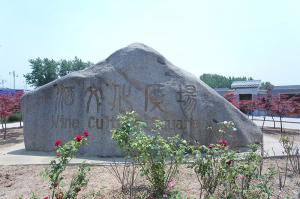 廠區(qū)環(huán)境